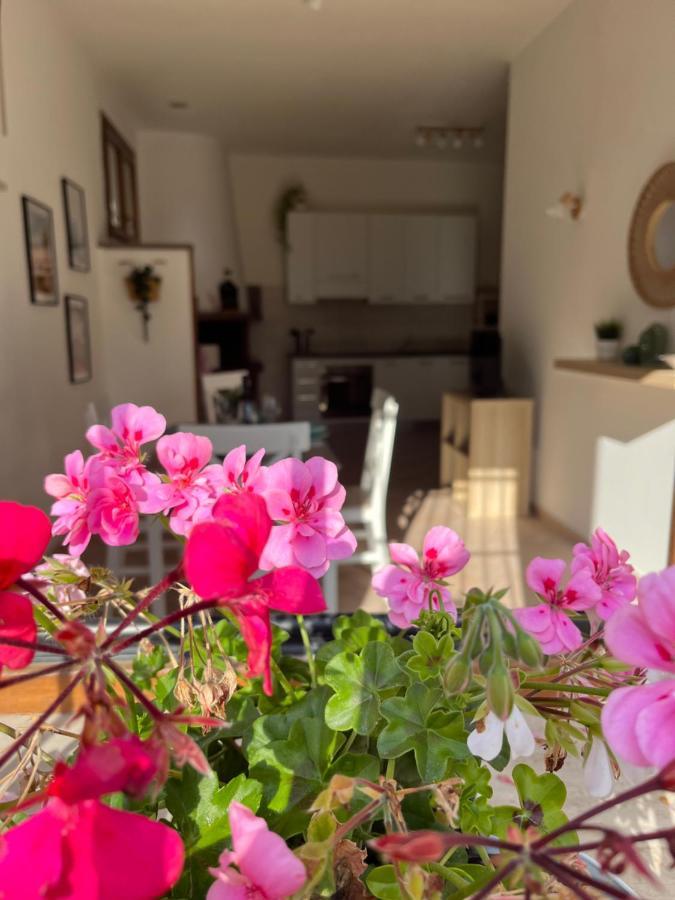 Casa Saline Leilighet Tarquinia Eksteriør bilde